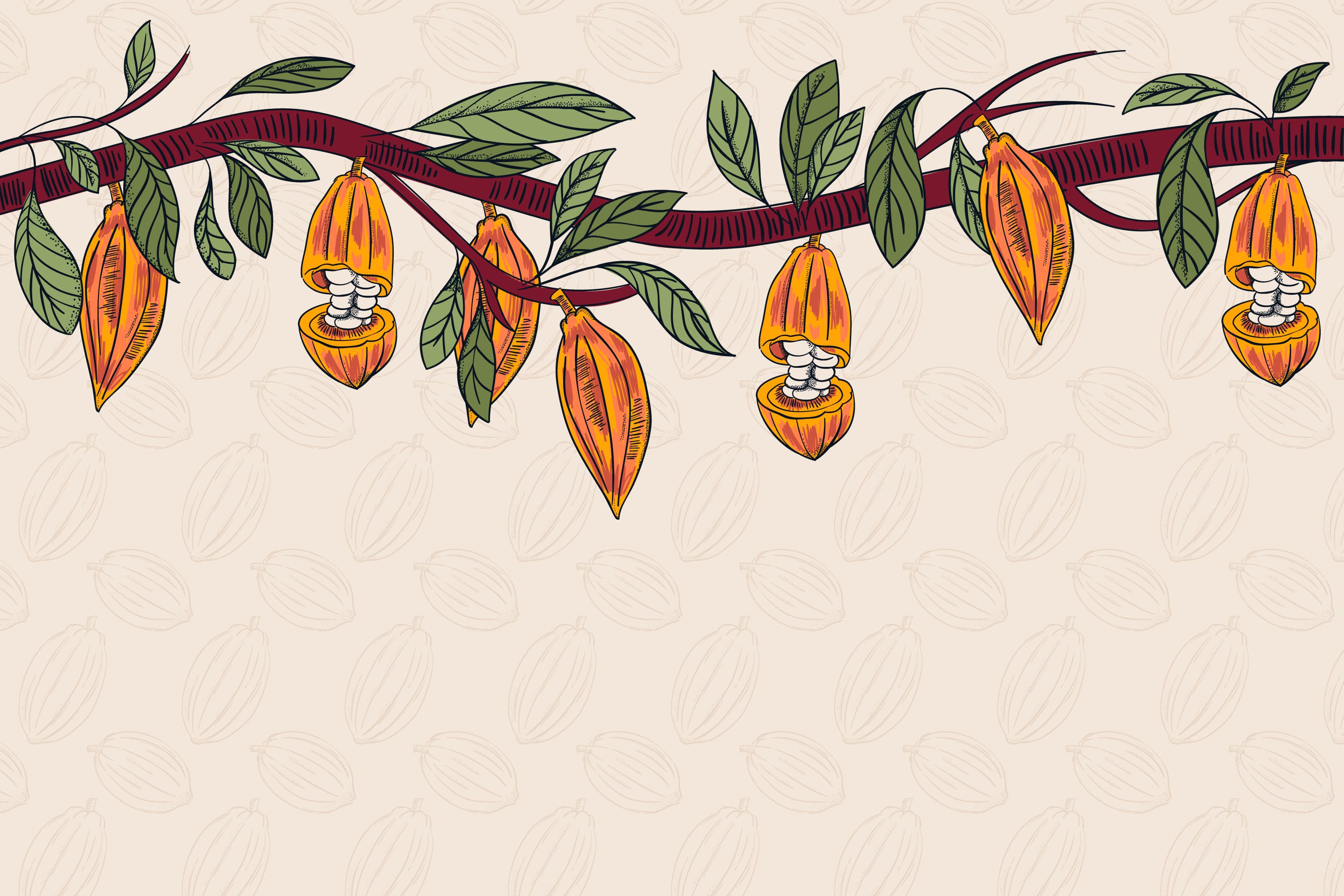 Cocoa branches and pods